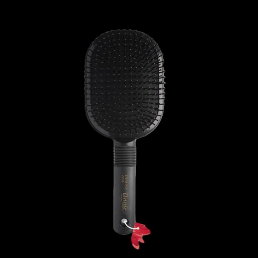 Large Paddle Brush
